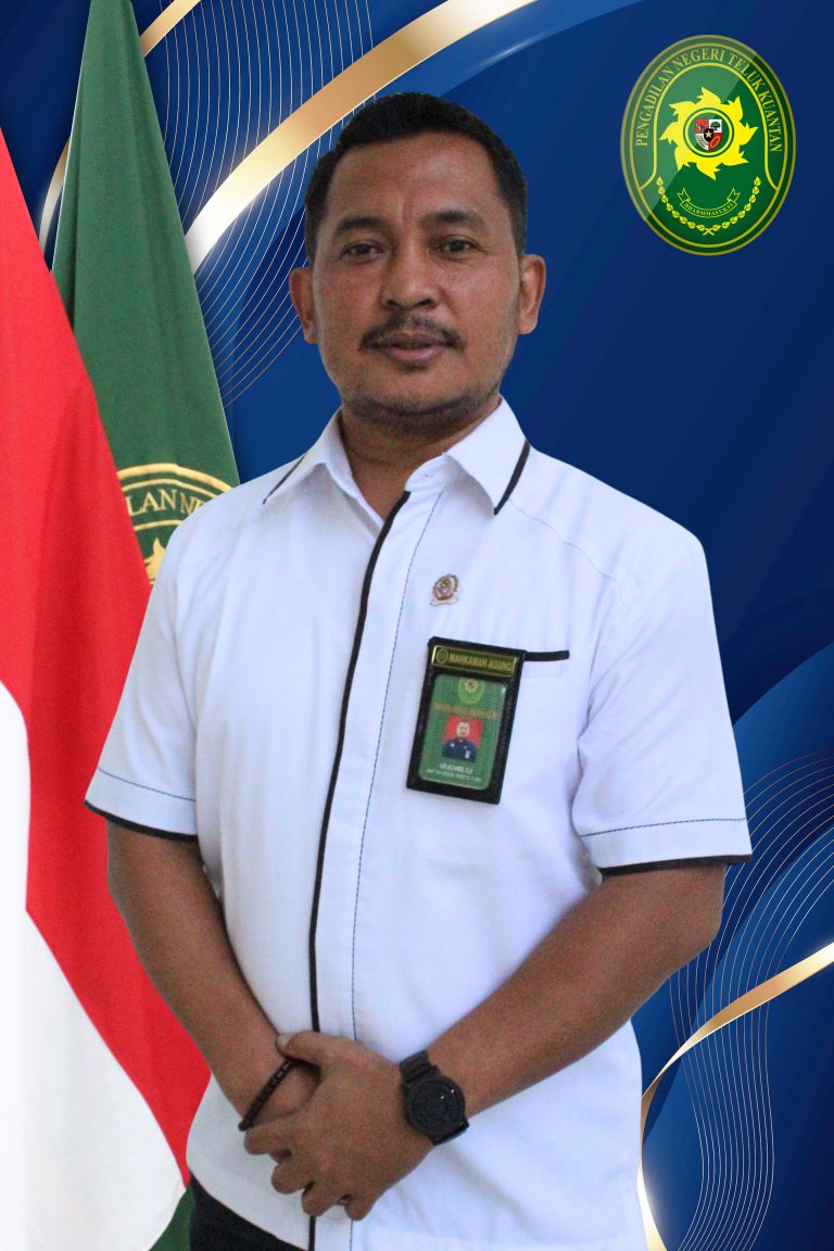template foto website edi