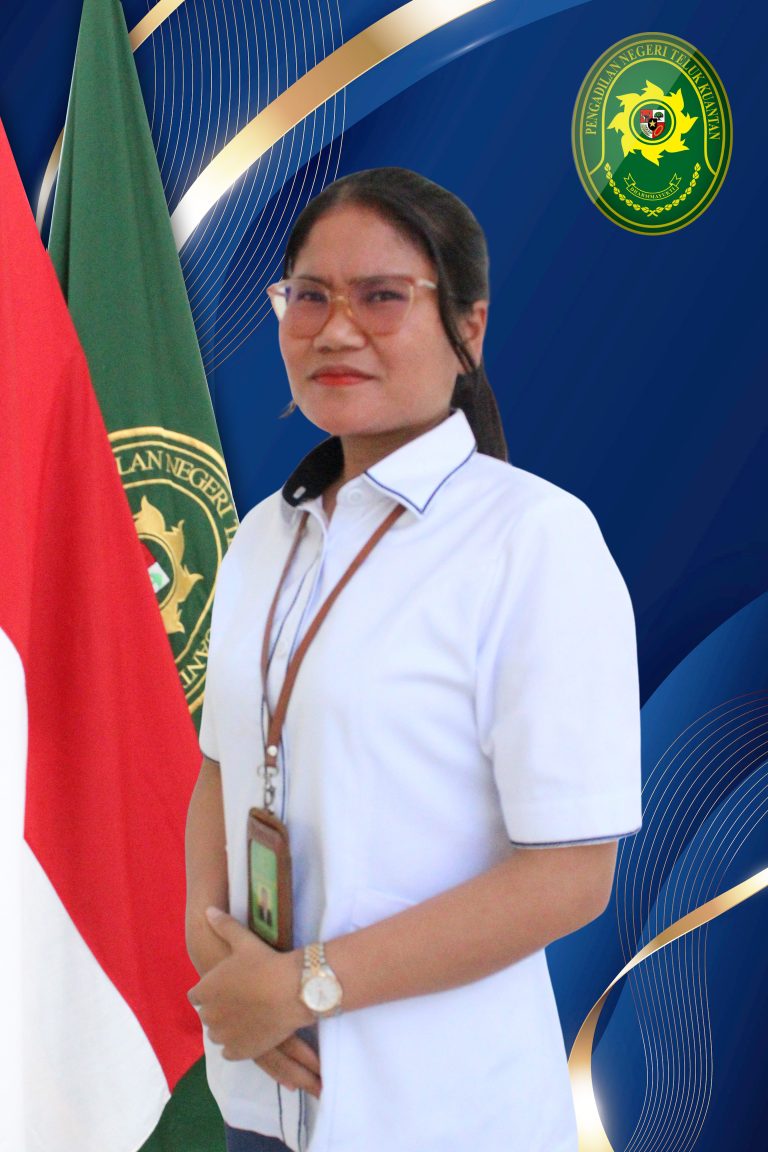 template foto website nolisda
