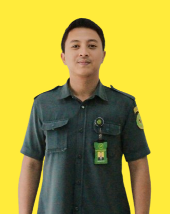 aidil website