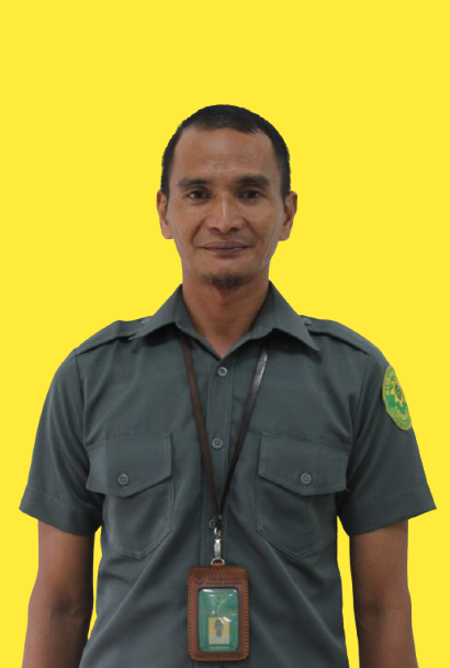 ardi website